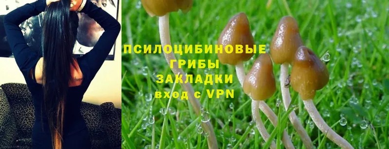 Псилоцибиновые грибы MAGIC MUSHROOMS  Кувандык 